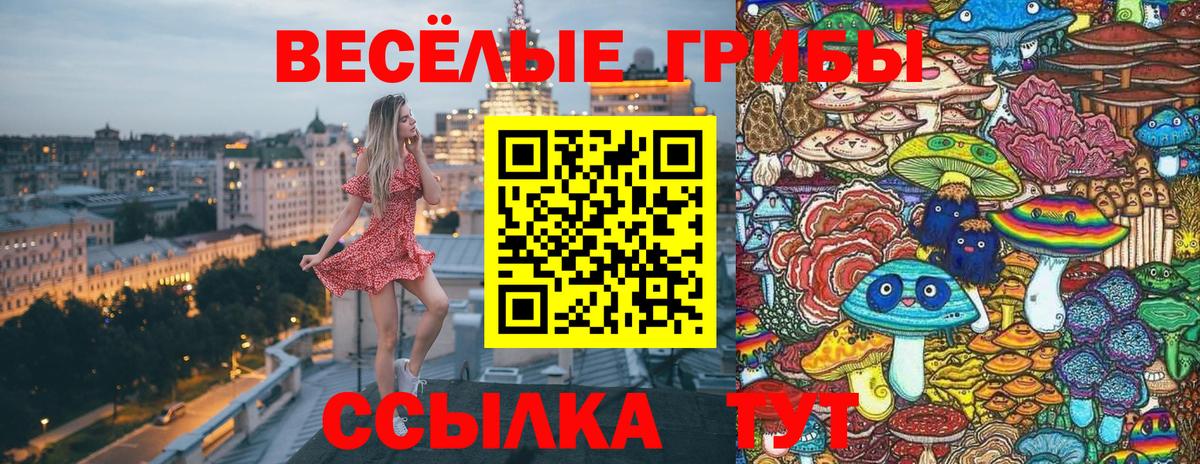 Ишим  Псилоцибиновые грибы мицелий  Вход с VPN  Галлюциногенные грибы MAGIC MUSHROOMS 
