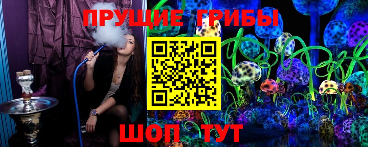 Псилоцибиновые грибы Cubensis Ишим
